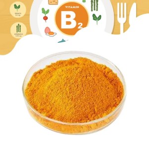 Riboflavina (vitamina B2 98%) in polvere