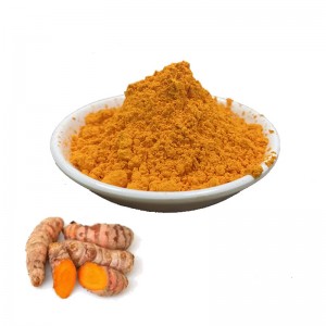 Curcumin - Organic Turmeric Root Extract Powder