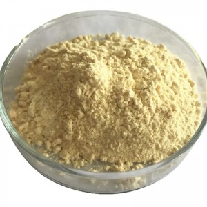 Ginseng Root Extract Powder ၊