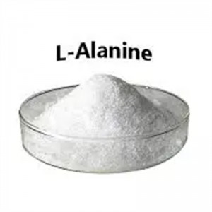 L-Alanine – Axit Amin chất lượng cao