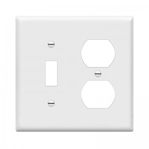 2 Gang Compositum Plastic Wall Plate