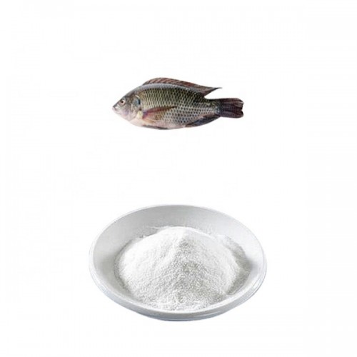 Fish Collagen Manufacturer Factory Supply Food Grade Peptides Powder