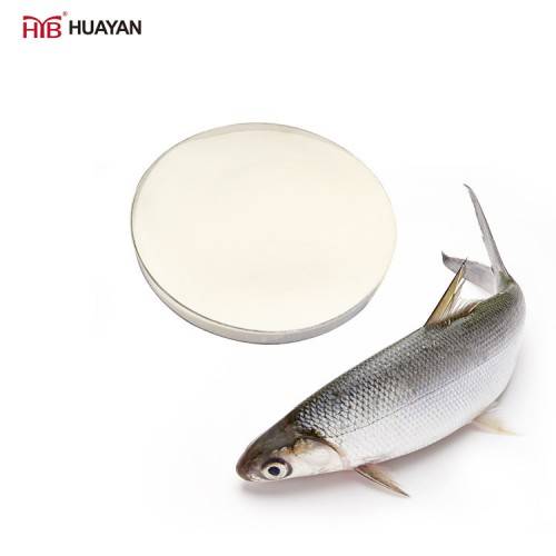 Wholesale Marine Fish Small Molecule Peptide - Best Food Grade Fish Scale Collagen Protein Powder for Anti-aging – Huayan