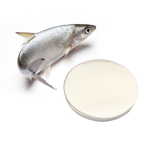 China Factory Hot Sale Marine Fish Oligopeptied Drink OEM / ODM Tilapia Visskubbe Kollageenpoeier vir dieetaanvulling