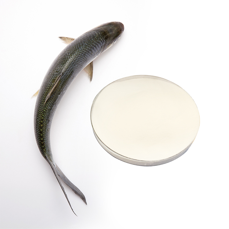 Czyste 100% peptydy kolagenowe Hydrolizowany proszek peptydu kolagenu rybiego dla odporności Wyróżniony obraz