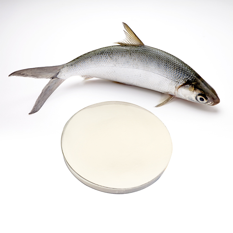 Dostawa fabrycznie hurtowa kolagenu w proszku z peptydu kolagenu rybiego dla urody. Wyróżniony obraz