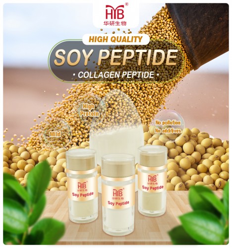 Hot sale Soy Powder Soybean Extract Peptide Collagen for Healthcare Supplement