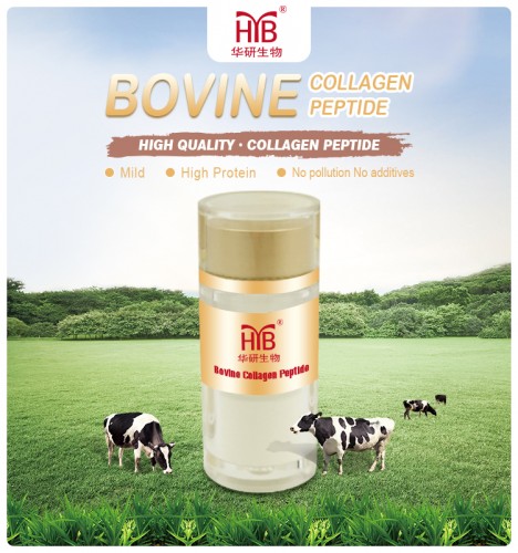 ODM Manufacturer Cosmetic Peptides Bovine Collagen Benefits Cow Skin Collagen Powder