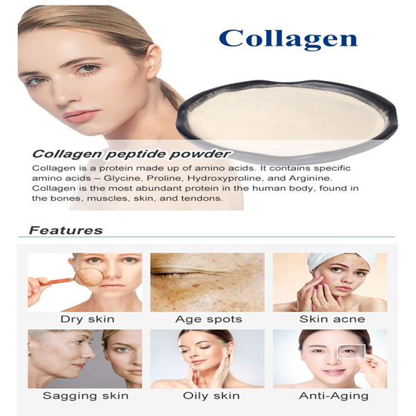 Collagen Peptide (二) පිළිබඳ උපදෙස් කිහිපයක් බෙදා ගැනීම