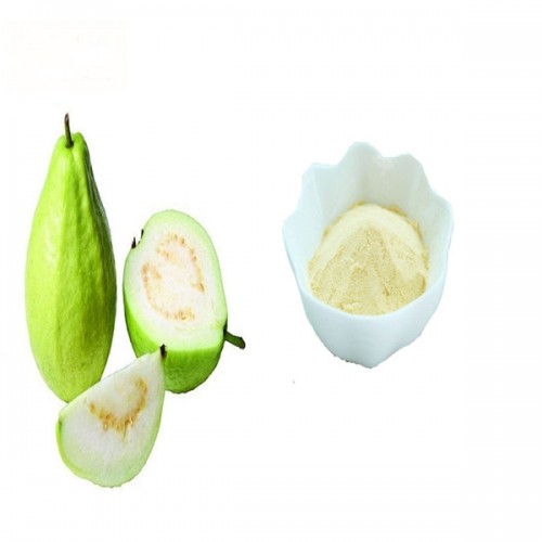 پيئڻ جي لاءِ صحت جي سار سنڀال جي اضافي ۾ Herbal Extract Guava Extract پائوڊر
