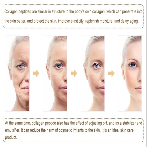 Kodėl kolageno peptidas naudojamas odos priežiūrai?