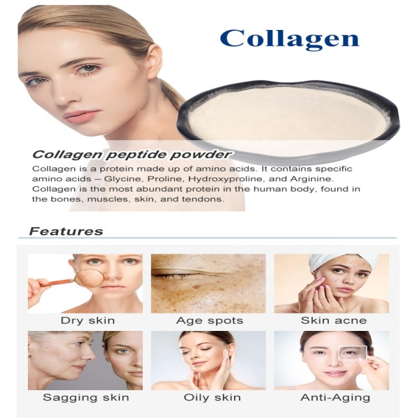 Conas collagen iasc a roghnú?