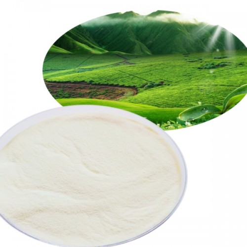 Մաշկի խնամքի համար նախատեսված բարձրորակ Vegan Collagen Pea Peptide Powder Food Grade