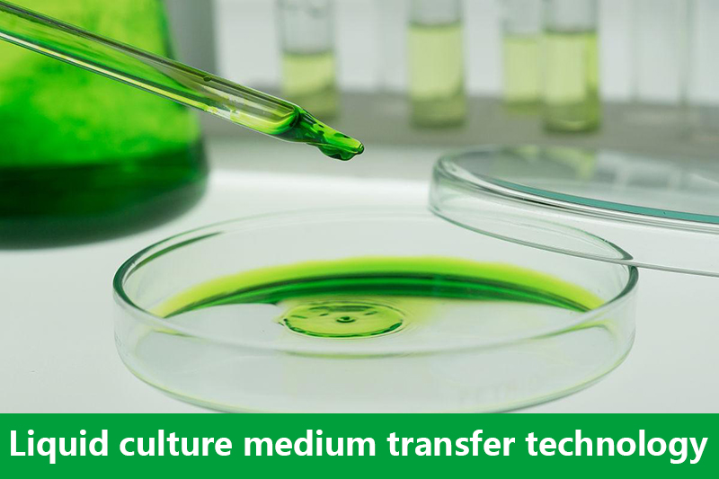 Liquid culture medium transfer technology