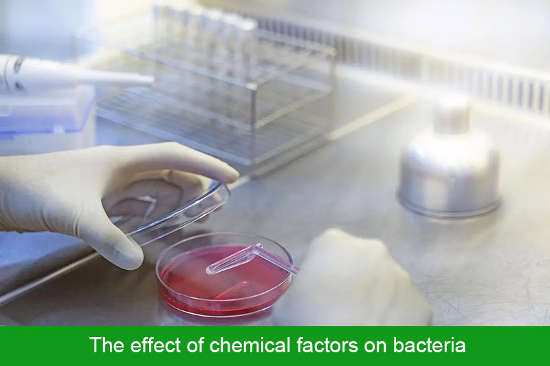 The effect of chemical factors on bacteria