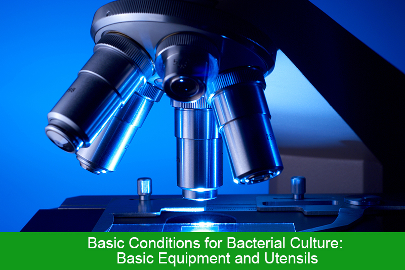 Basic Conditions for Bacterial Culture: Basic Equipment and Utensils