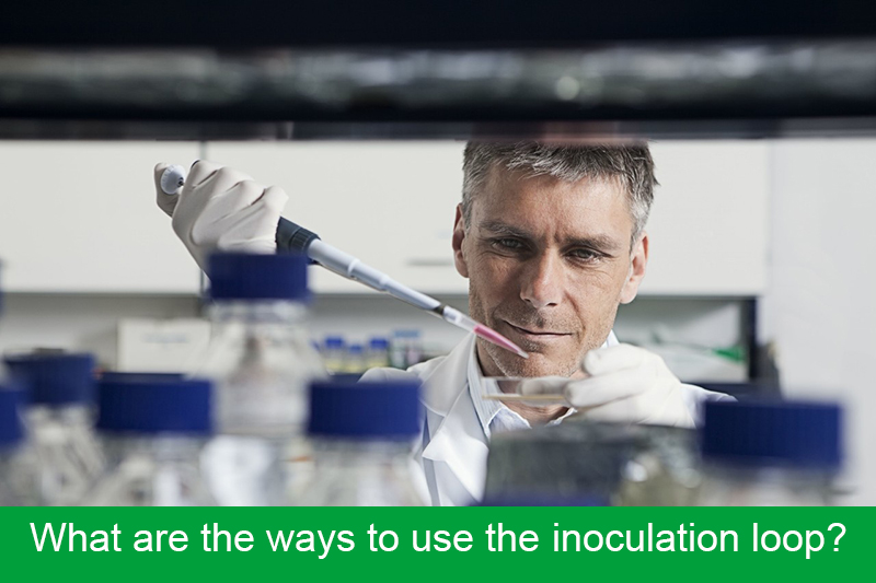 What are the ways to use the inoculation loop?