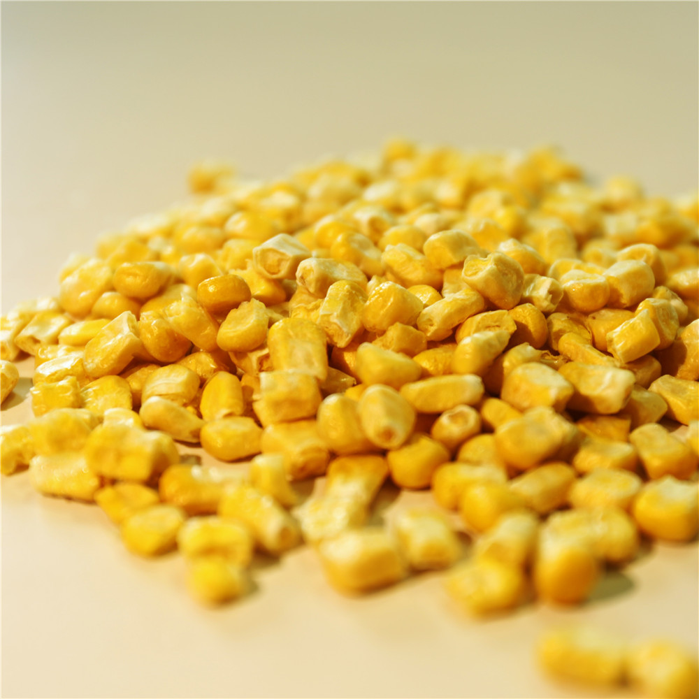 Good Taste Kosher certified Freeze Dried Sweet Corn Featured Image