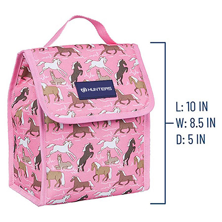 मुलांसाठी आणि मुलींसाठी इन्सुलेटेड लंच बॅग, लंच बॅग (1)