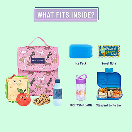 मुलांसाठी आणि मुलींसाठी इन्सुलेटेड लंच बॅग, लंच बॅग (2)