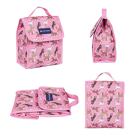मुलांसाठी आणि मुलींसाठी इन्सुलेटेड लंच बॅग, लंच बॅग (5)