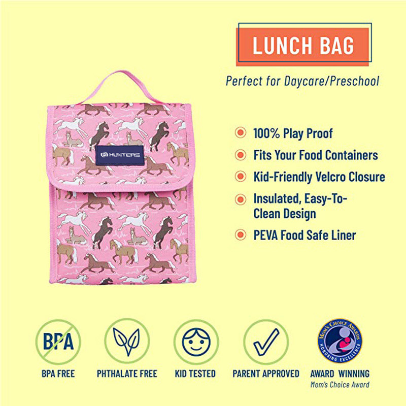 मुलांसाठी आणि मुलींसाठी इन्सुलेटेड लंच बॅग, लंच बॅग