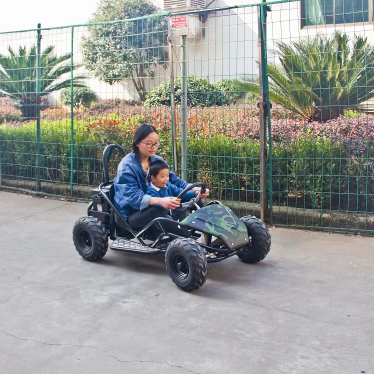 Hot Sale Go-kart Drift Mini Kid Off Road Buggy 48v 1000W Electric Go Kart (2)