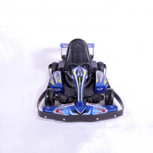Hot Sale 35km/h Cheap Electric Karting Cars Race Go Kart for Child Youth Adult