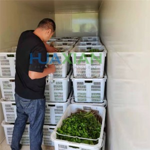 Вакуумен охладител за листни зеленчуци в системи за хладилна верига след прибиране на реколтата