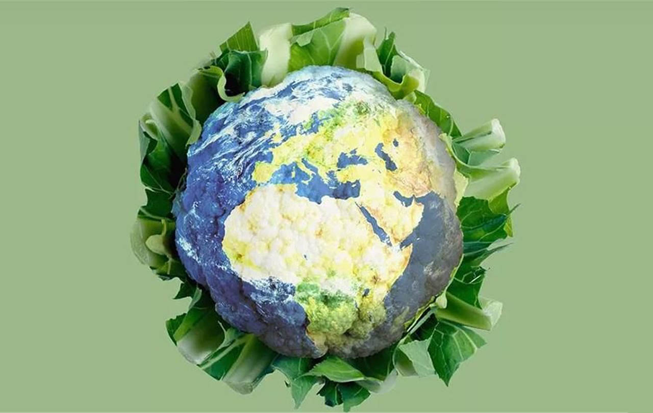 Történelmet írunk: az ENSZ Környezetvédelmi Közgyűlése beleegyezik egy globális műanyagszerződés tárgyalásába