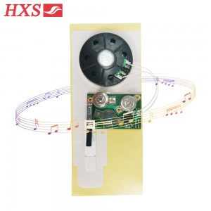 Customized Music Audio IC Chip For Package Gift Boxes