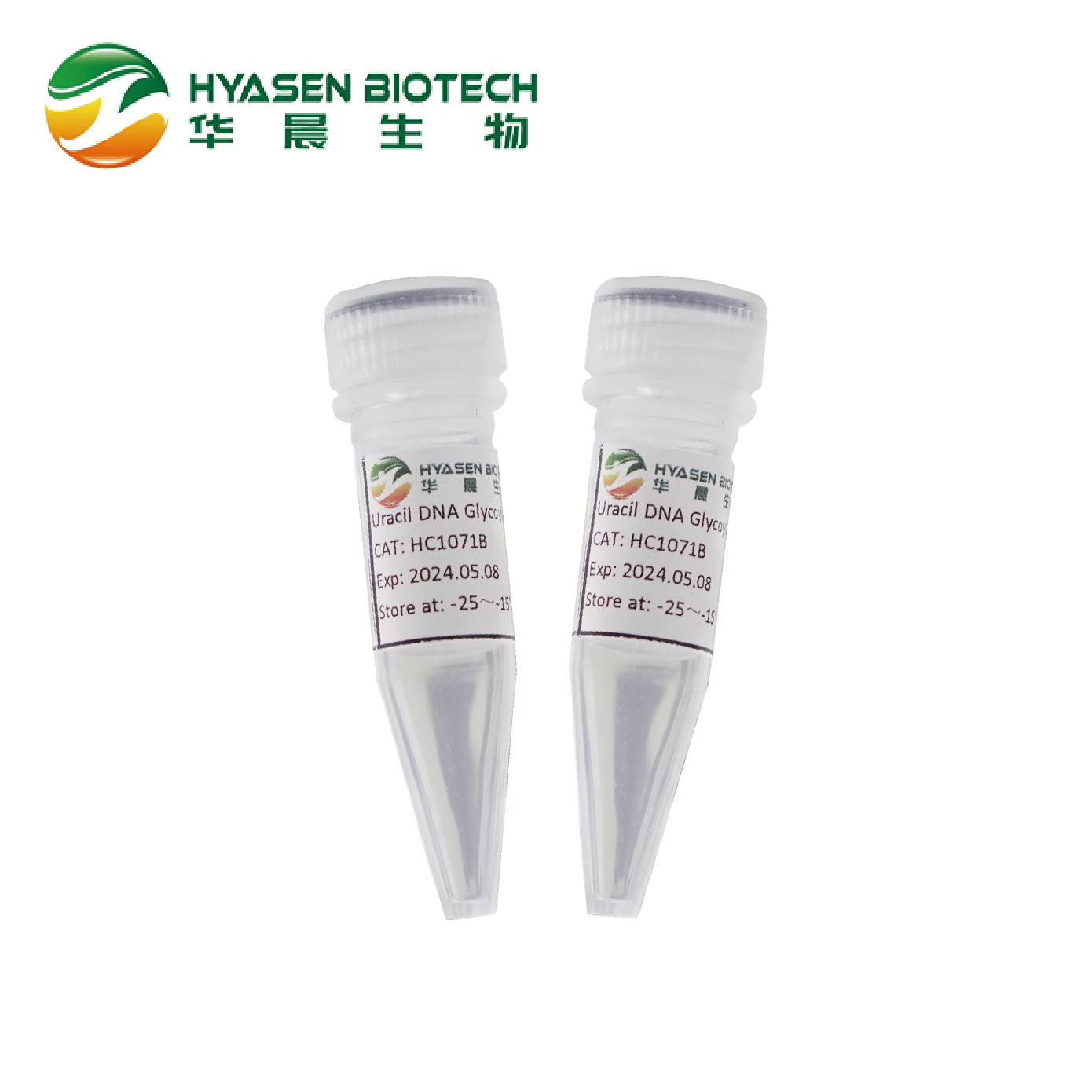 Uracil DNA Glycoylase (Glycerol-free) Sawirka sifaysan