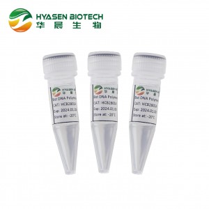 Enzyme DNA polymerase Bst 2.0, Khuếch đại đẳng nhiệt
