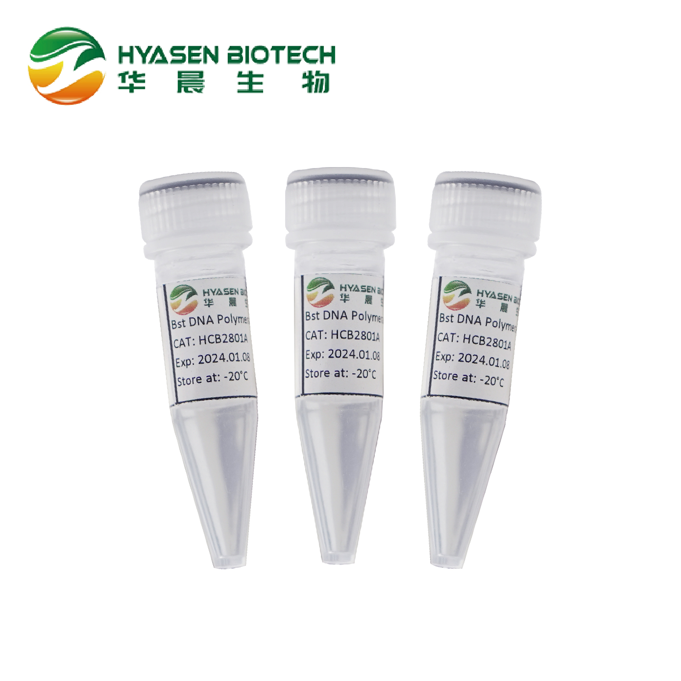 Bst 2.0 DNA পলিমারেজ এনজাইম, আইসোথার্মাল অ্যামপ্লিফিকেশন বৈশিষ্ট্যযুক্ত চিত্র