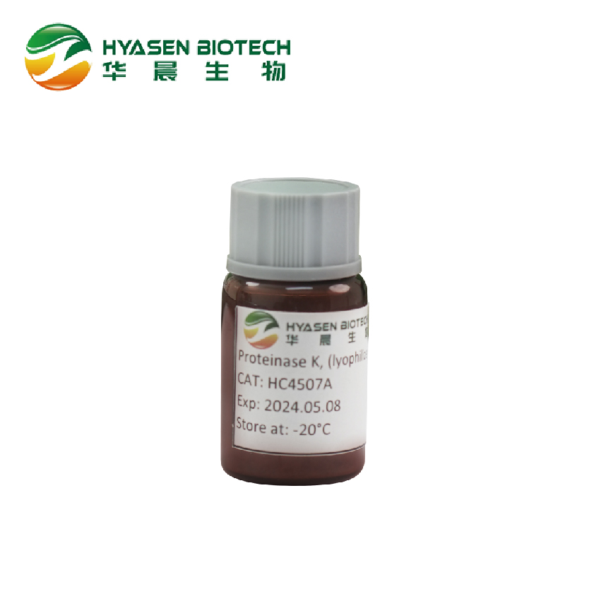 Proteinasa K (polvo liofilizado para NGS)