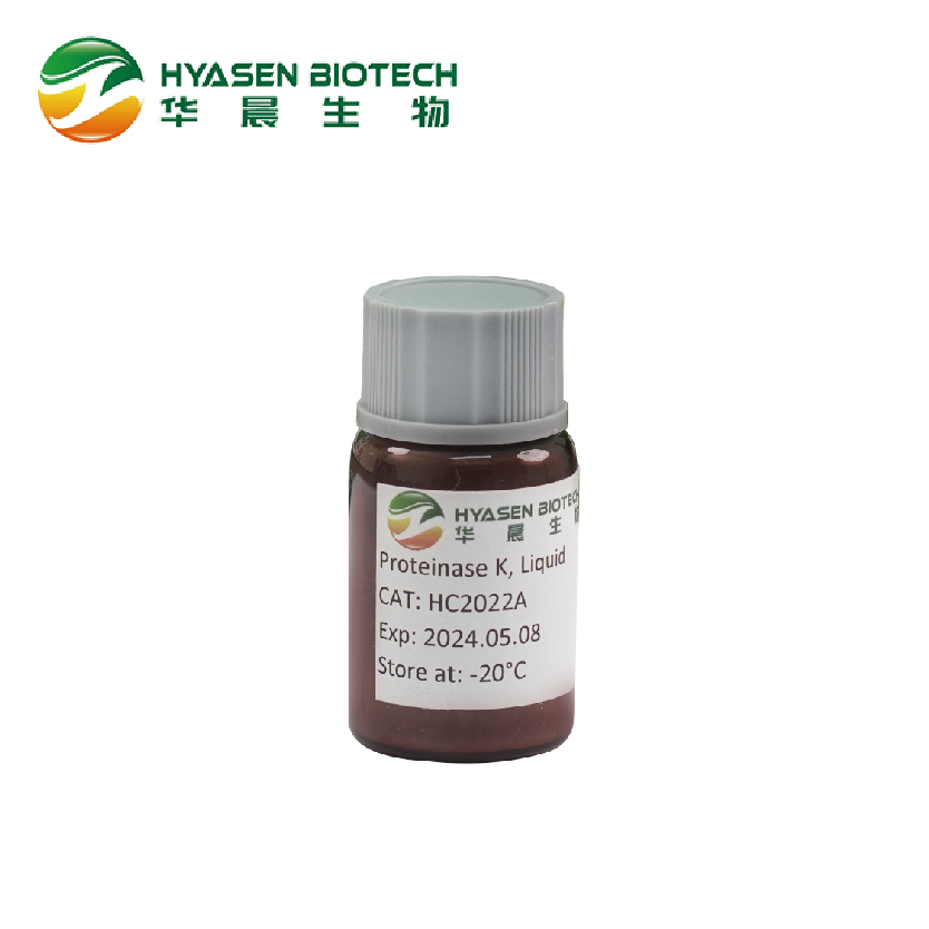 Proteinase K (Liquid) - Image Featured High Quality