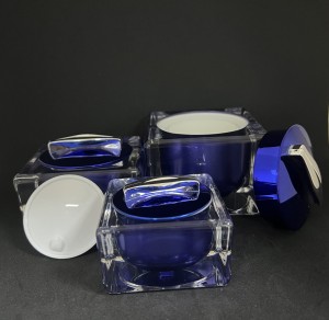 Square Shape 10g 30g 50g Luxury Plastic Skin Care Cream Cream Acrylic Jar With Hand Hull Pad