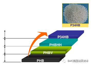 Conocimientos básicos de PHA.