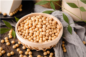 ISOLATED SOY PROTEIN