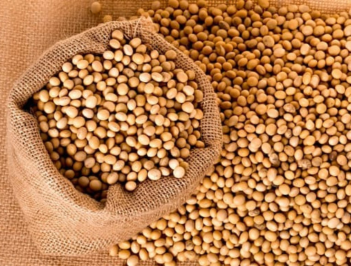 NON-GMO Isolated Soy Protein