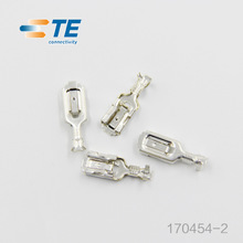 TE/AMP konektor 170454-2