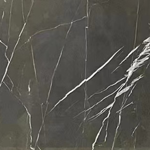 Priljubljeni sivi naravni marmor Pietra Grey za projekt