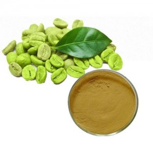 Green Coffee Bean Extract Chlorogenic acid 50% Test by HPLC
