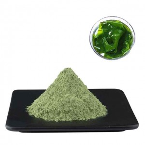kelp Extract, Lower price,we can offer free sample,contact us Now!