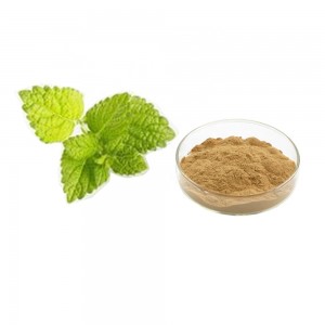 Lemon Balm Extract utilizatu per u Supplement Naturale