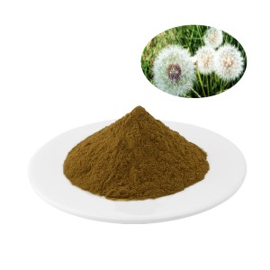 Dandelion Extract 5%,10% Flavones Test ng UV Dandelion Extract ay ginagamit sa pamamaga at pagsisikip ng atay