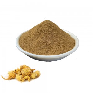Maca ekstrakt Maca juure ekstrakt talub väsimust, suurendab energiat ja füüsilist jõudu.