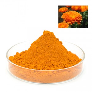 Zeaxanthin Orange Powder, Zeaxanthin 5%, Zeaxanthin 10%