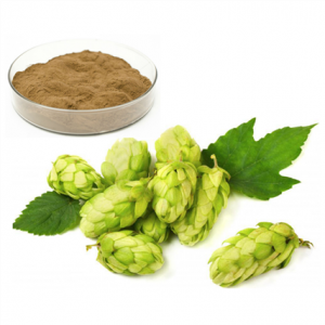 Xanthohumol Extract mula sa Hops, Brown green o...