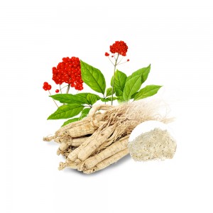 Extract Ginseng
